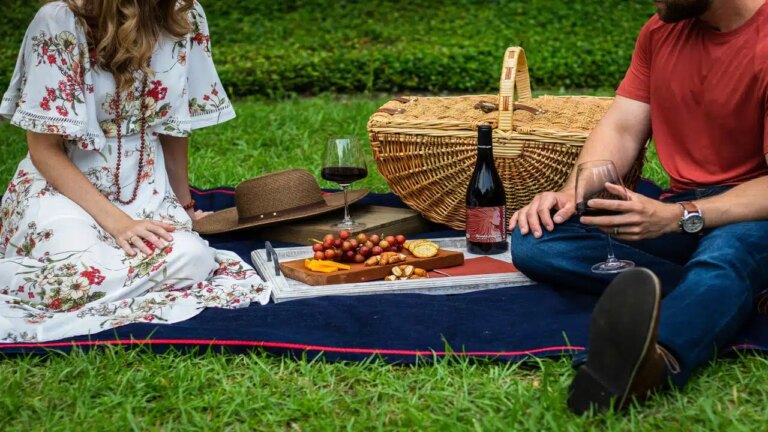 A couple on a picnic date